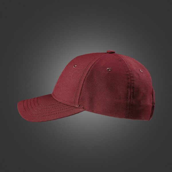 Newton's Cap - Single Tone Bordo