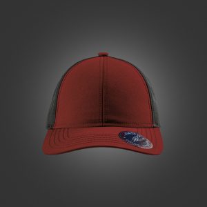 Newton's Cap – Bumble Bee