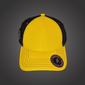 Newton's Cap – Bumble Bee