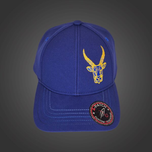 Capricorn Zodiac - Newton's Cap