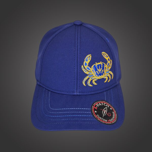 Cancer Zodiac - Newton's Cap