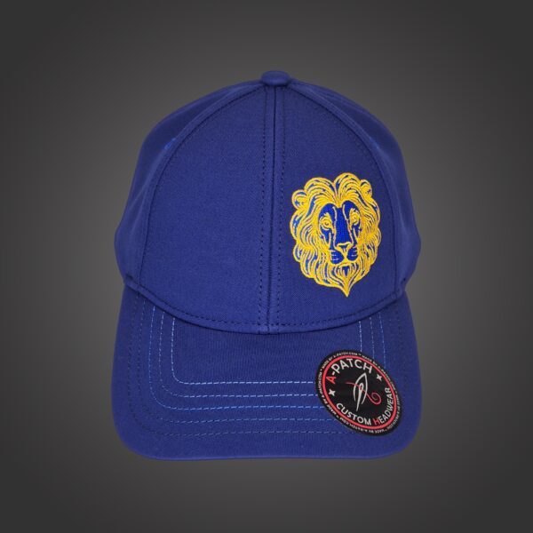 Leo Zodiac - Newton's Cap