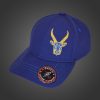 Capricorn Zodiac - Newton's Cap