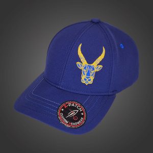 Capricorn Zodiac - Newton's Cap