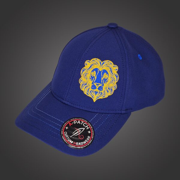 Leo Zodiac - Newton's Cap
