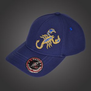 Scorpio Zodiac - Newton's Cap