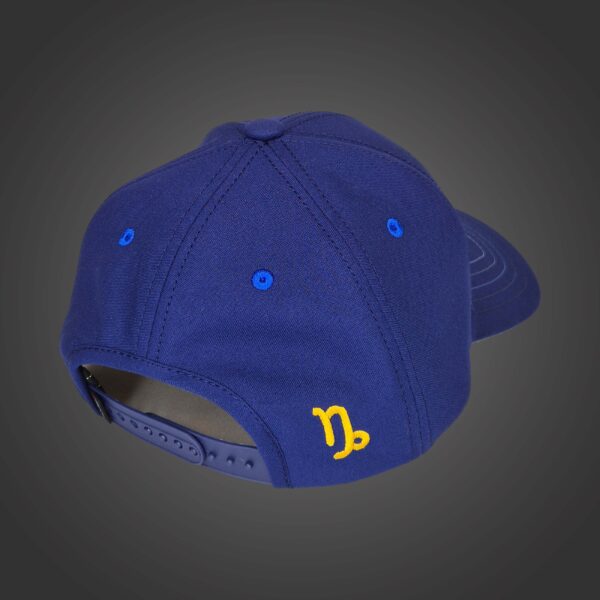 Capricorn Zodiac - Newton's Cap
