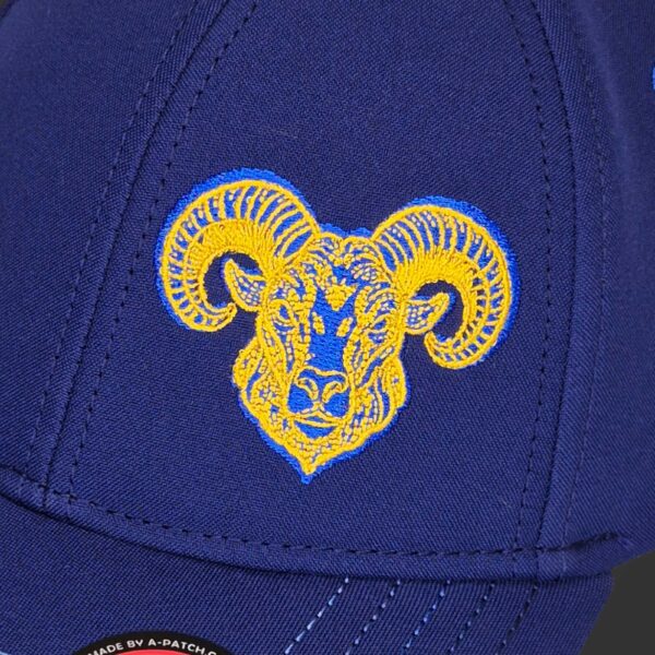 Aries Zodiac - Newton's Cap