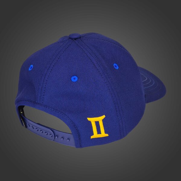 Gemini Zodiac - Newton's Cap