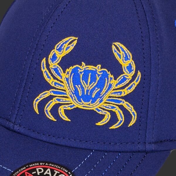 Cancer Zodiac - Newton's Cap