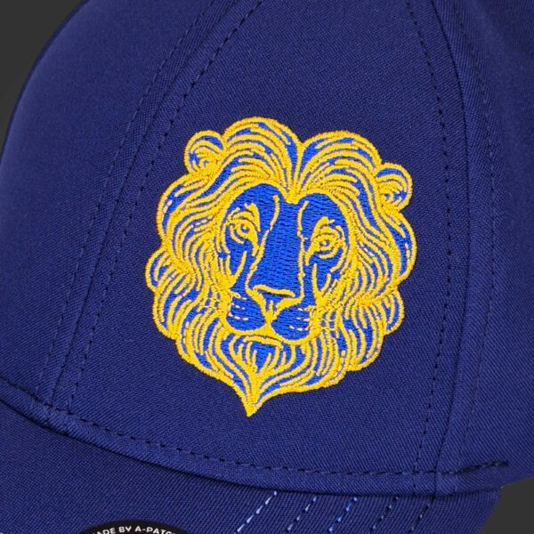 Leo Zodiac - Newton's Cap