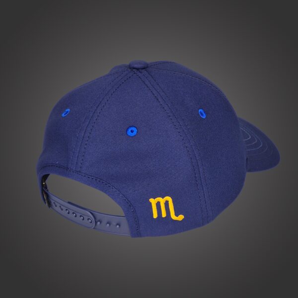 Scorpio Zodiac - Newton's Cap