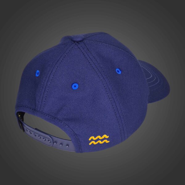 Aquarius Zodiac - Newton's Cap
