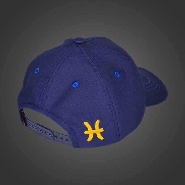 Pisces Zodiac - Newton's Cap