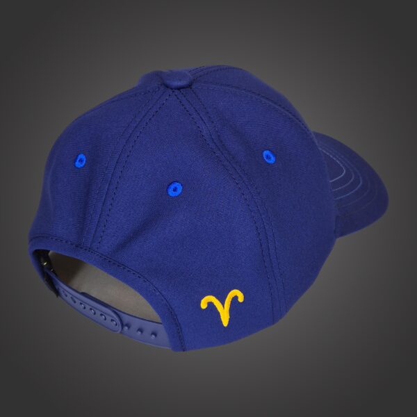 Aries Zodiac - Newton's Cap