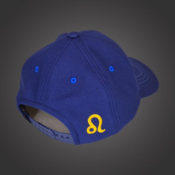 Leo Zodiac - Newton's Cap