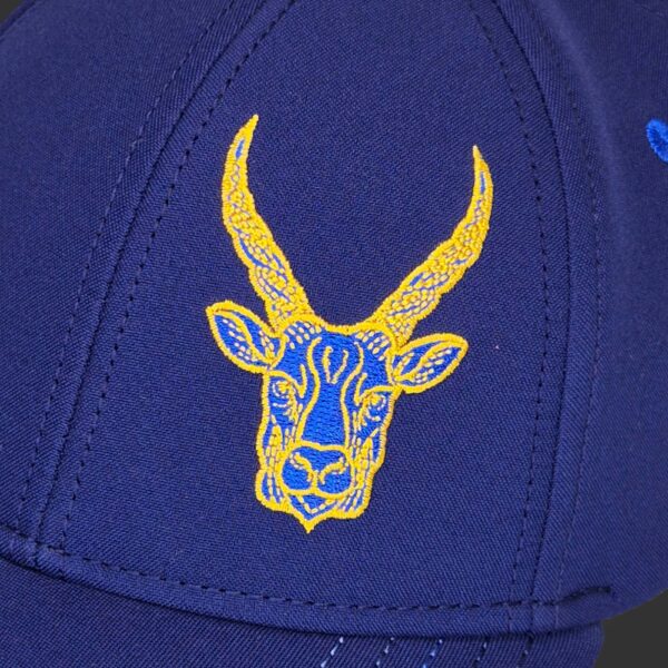 Capricorn Zodiac - Newton's Cap