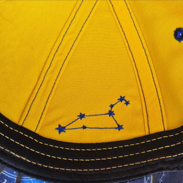 Leo Zodiac - Newton's Cap