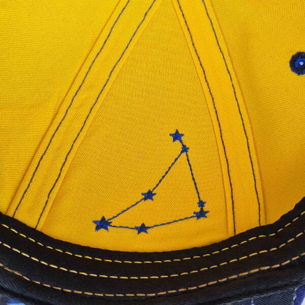 Capricorn Zodiac - Newton's Cap