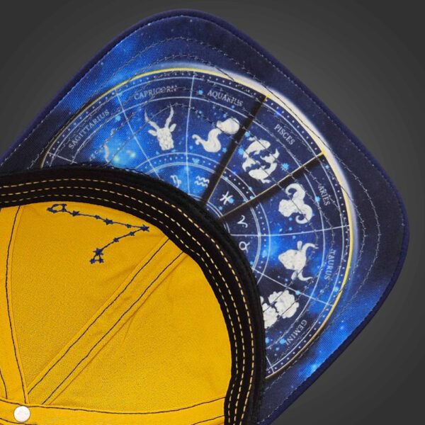 Pisces Zodiac - Newton's Cap